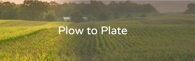 plow to plate green fields